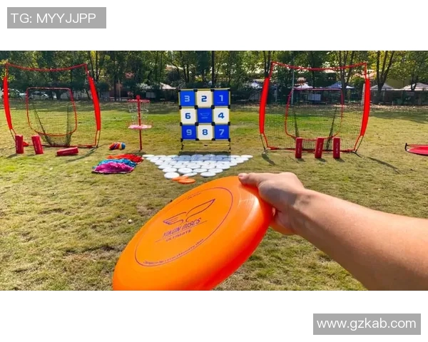 武汉飞盘队的阵地战策略与战术分析探讨