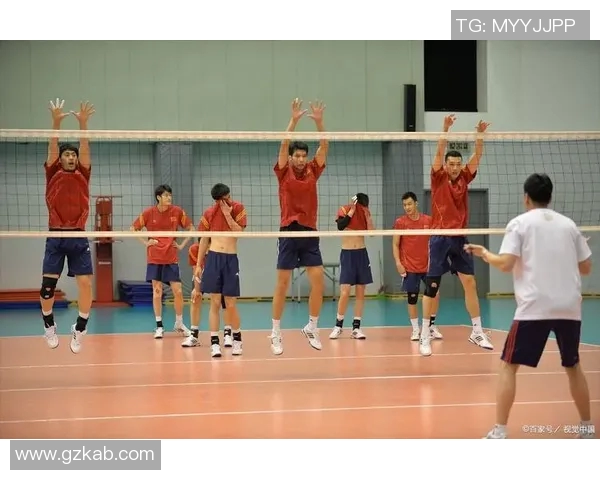 深圳排球队团队协作的独特优势与其他队伍的深度对比分析